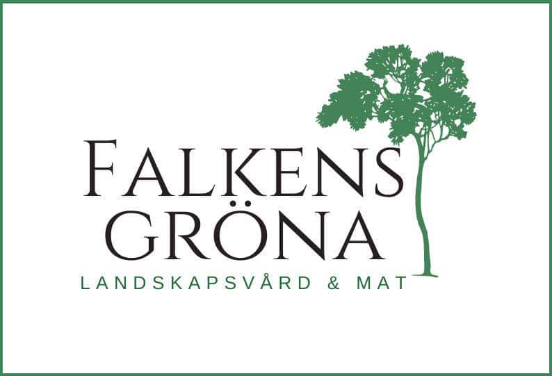 Falkens-Gröna-copy
