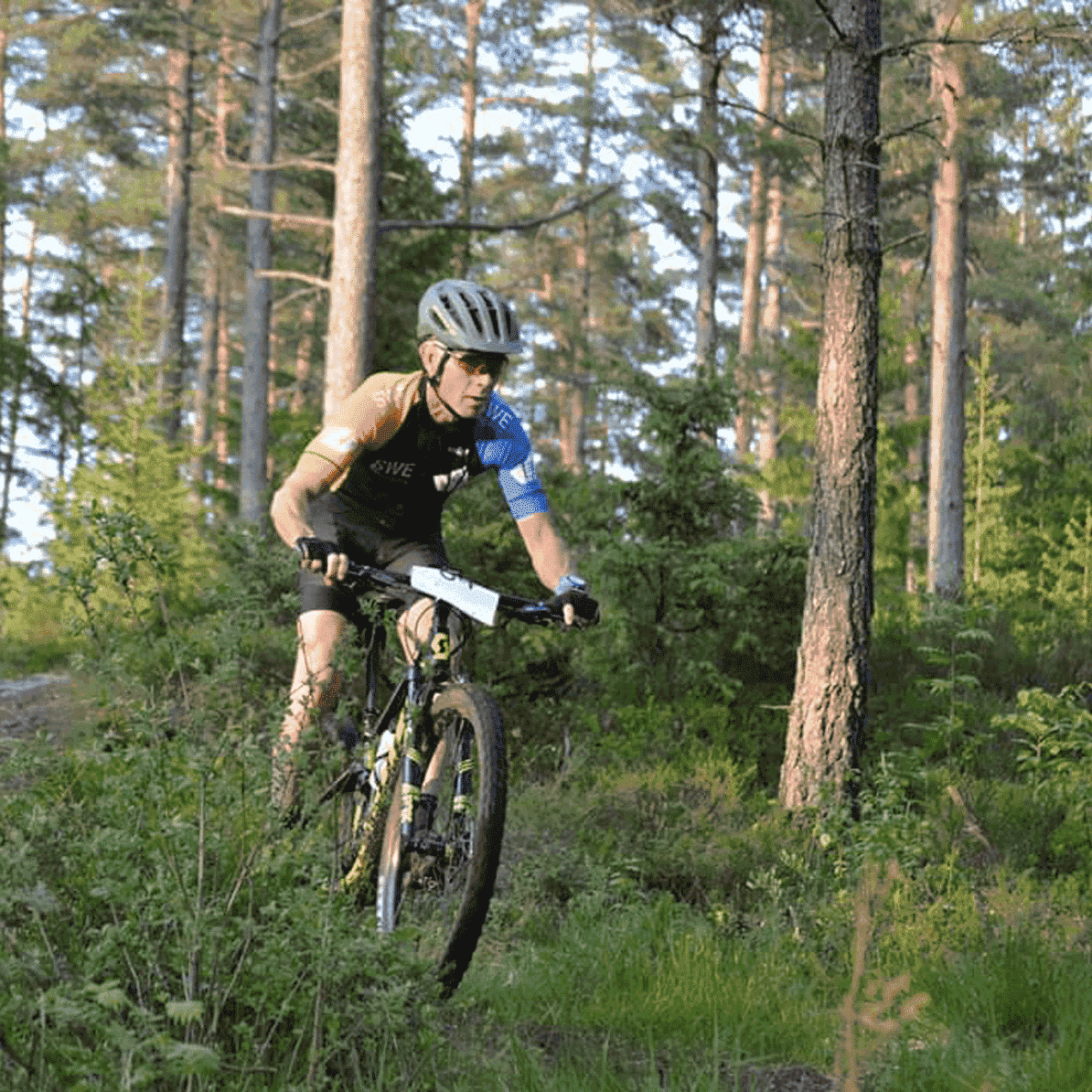 Cykel-guidning