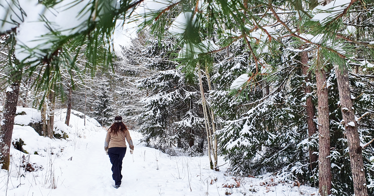 En person vandrar i en snötäckt granskog