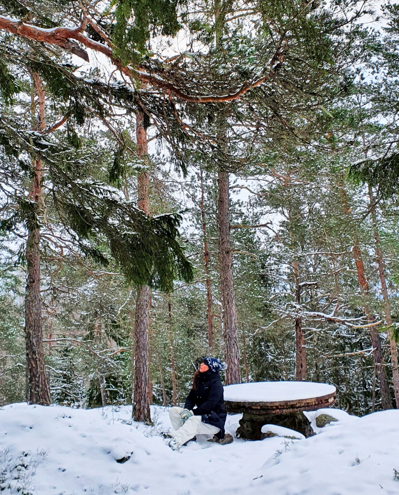 En person sitter vid ett stenmonument i en snötäckt skog